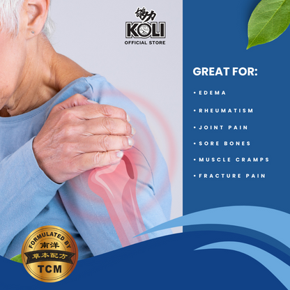 够力 KOLI AGEING Pain Relief Plaster (RHEUMATIC PAIN)