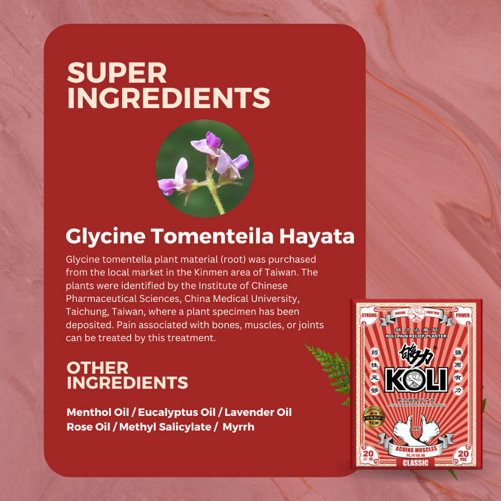 够力 KOLI CLASSIC Pain Relief Plaster (ACHING MUSCLES) - 20 / 40 / 80 Pieces