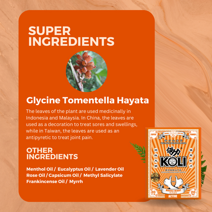 够力 KOLI ACTIVE Pain Relief Plaster (MUSCLE INJURY)