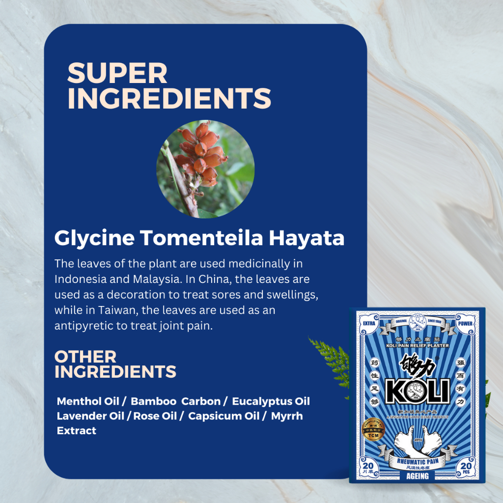 够力 KOLI AGEING Pain Relief Plaster (RHEUMATIC PAIN)